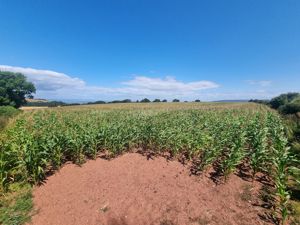 Photo 2- click for photo gallery